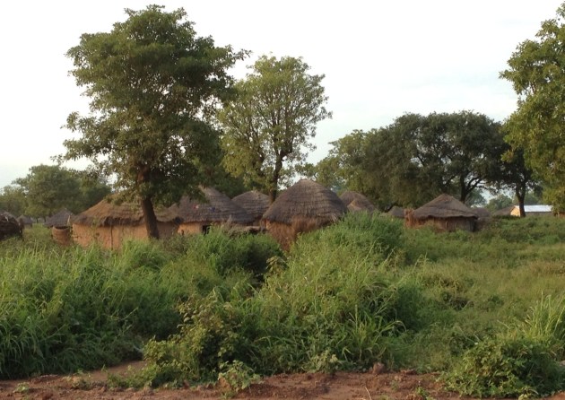 African Mud Huts
